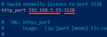 Specifying the IP address and port to run Squid
