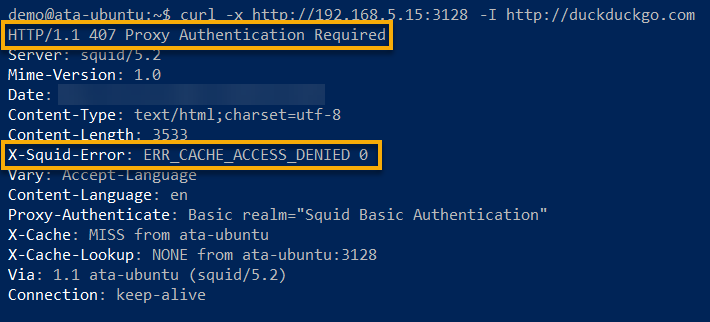 Connecting to a website without (or incorrect) Squid authentication