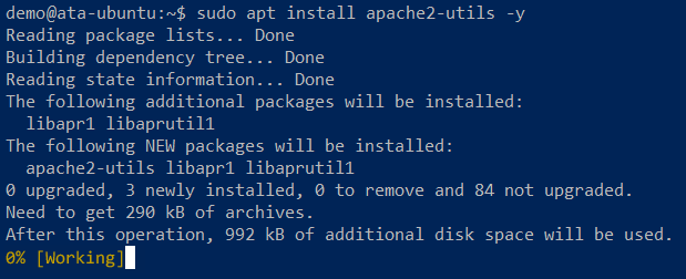 Installing apache2-utils package via APT