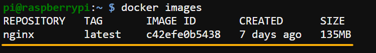 Verifying the downloaded NGINX image exists