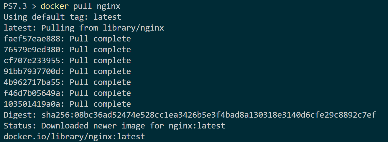 Pulling an NGINX Docker image