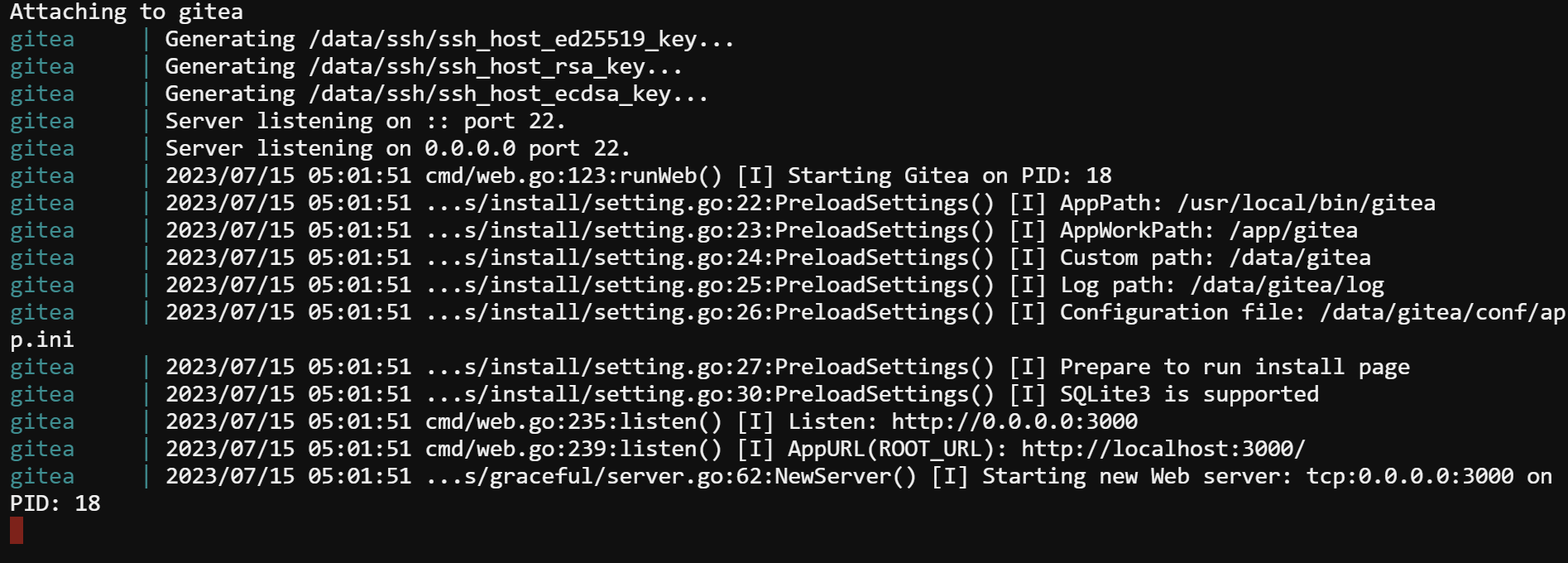 Verifying the Gitea Docker container is running