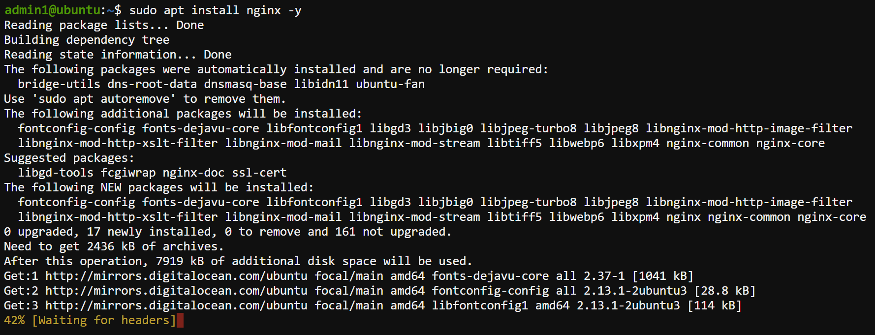 Installing NGINX