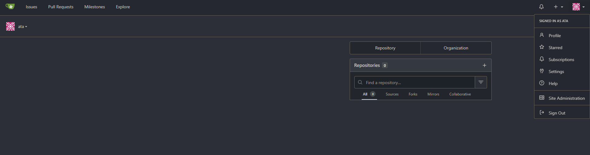 Viewing the Gitea dashboard