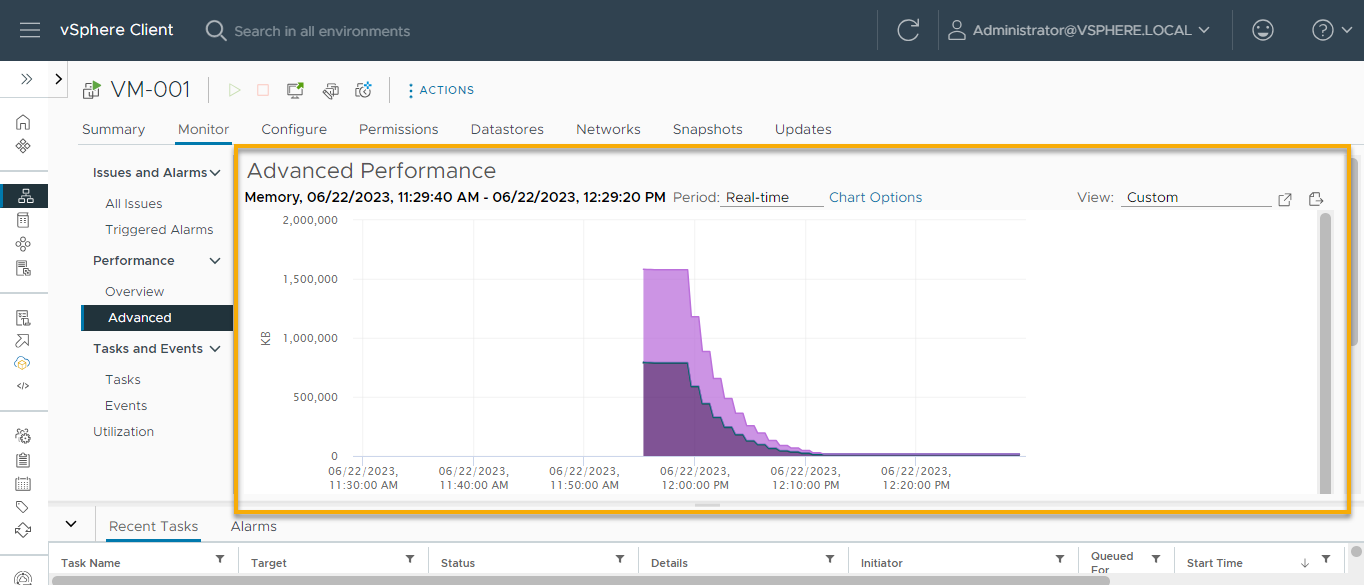 Monitoring the VM custom memory usage metrics