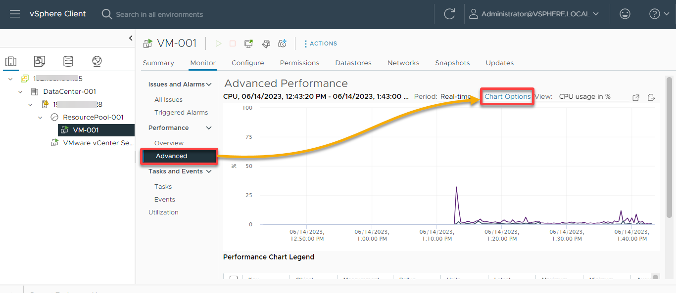 Accessing the advanced VM monitoring options