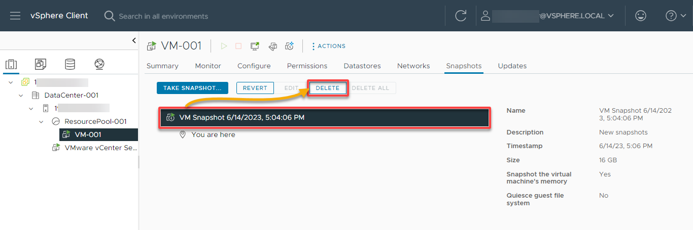 Deleting a VM snapshot