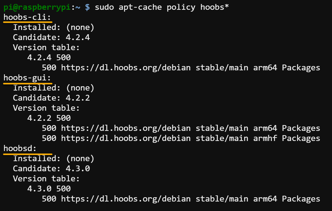 Checking the HOOBS package versions and their repositories