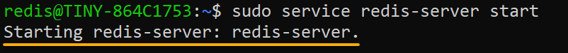 Starting the Redis service