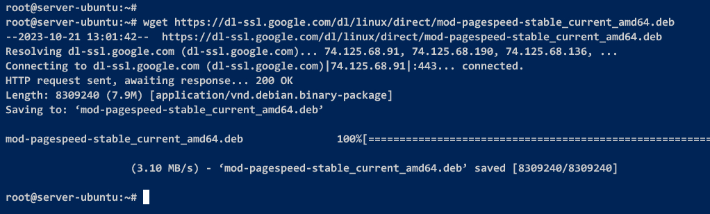 Downloading the PageSpeed module package for a Debian-based system