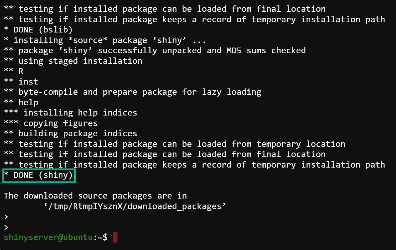 Installing the Shiny R Package