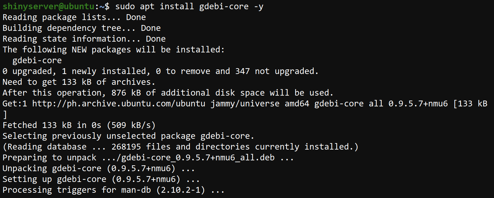 Installing the gdebi-core package
