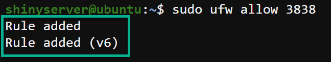 Allowing incoming network connections on port 3838