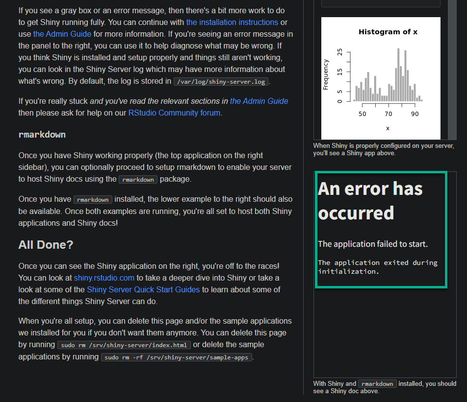 Verifying an error about the application failing to start