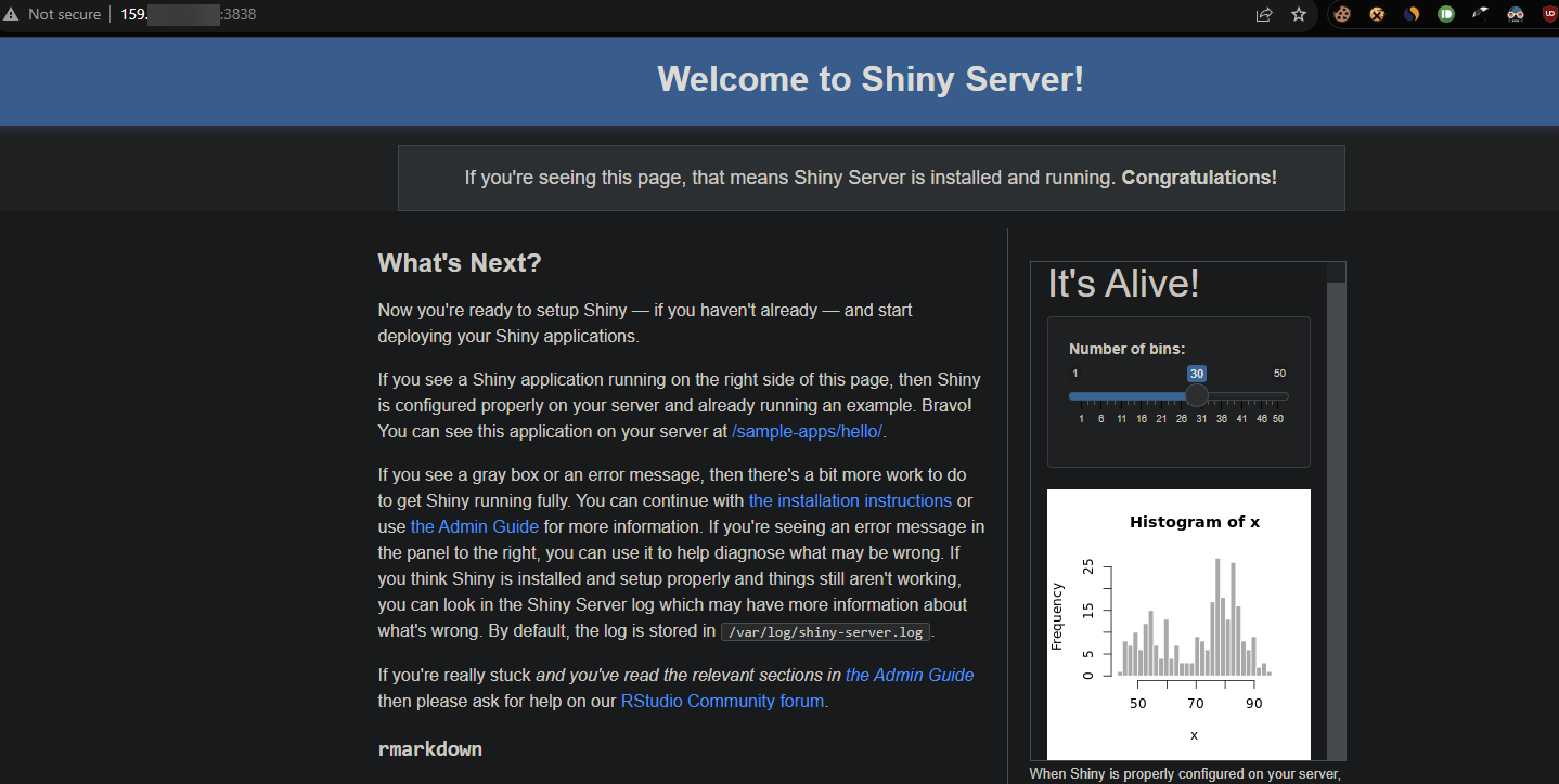 Accessing the Shiny Server