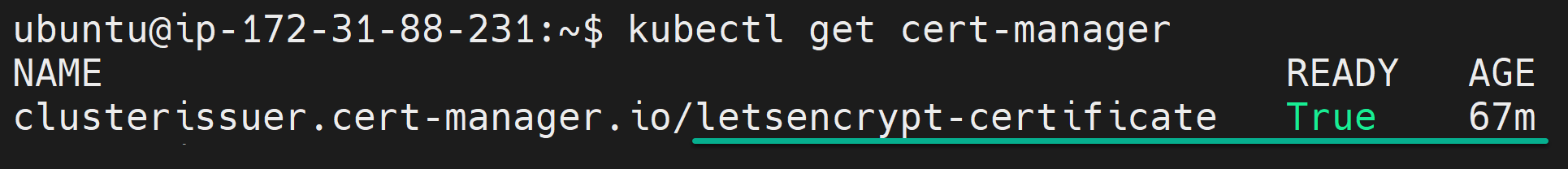 Verifying CRDs for cert-manager are accessible within the k3s cluster