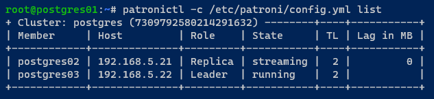 Checking the PostgreSQL Cluster members via patronictl