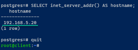 Checking the IP address of the PostgreSQL server