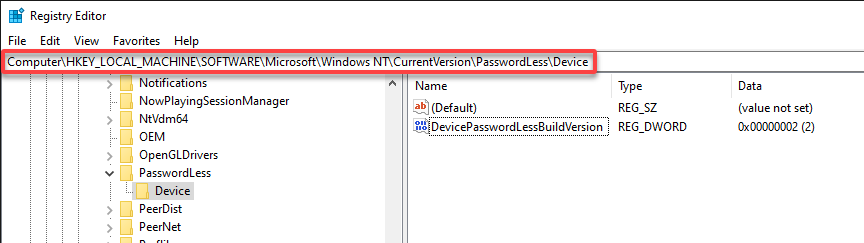 Accessing the registry key related to passwordless authentication in Windows