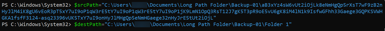 Declaring variables to hold the target file’s source and destination paths