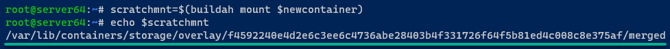 Capturing the mount point of the working-container filesystem