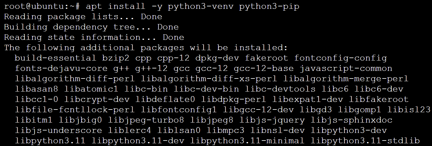 Installing the Python 3 virtual environment and package manager