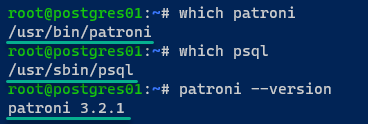  Verifying binary paths for Patroni and psql