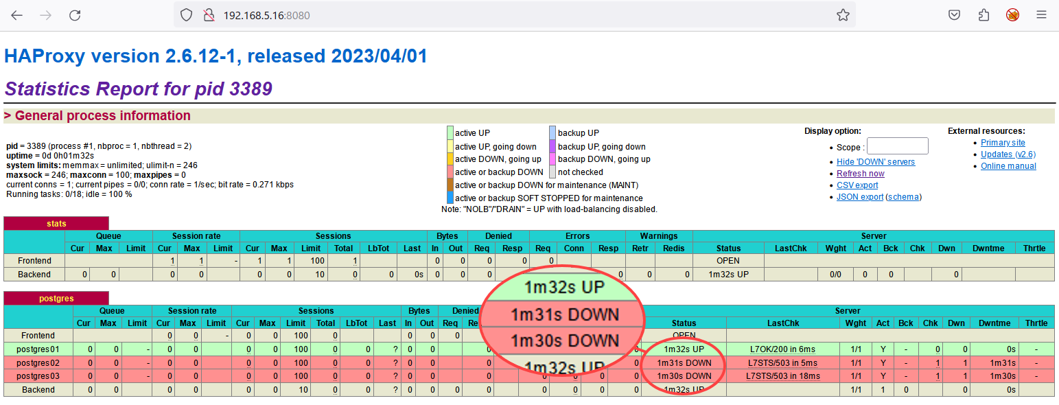 Checking HAProxy performance and information
