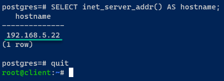 Checking the PostgreSQL server IP address