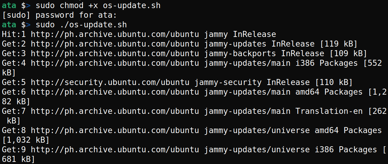 Updating the Ubuntu system 