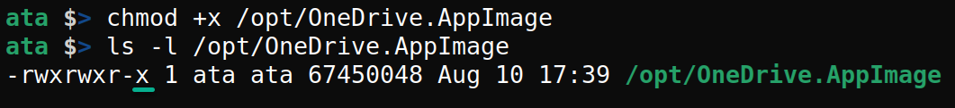 Making the OneDrive.AppImage executable