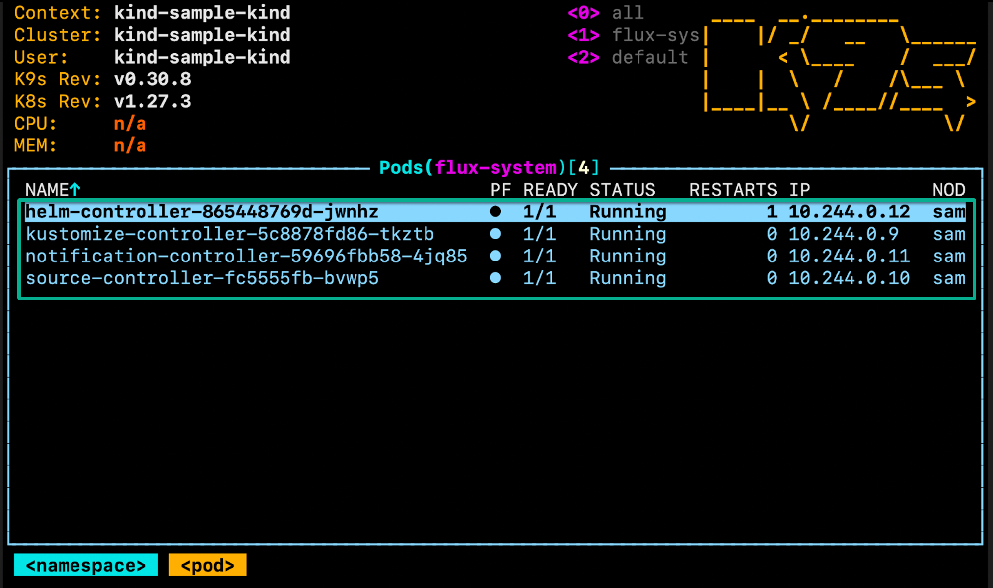 Viewing the controller pods installed and running on the flux-system namespace