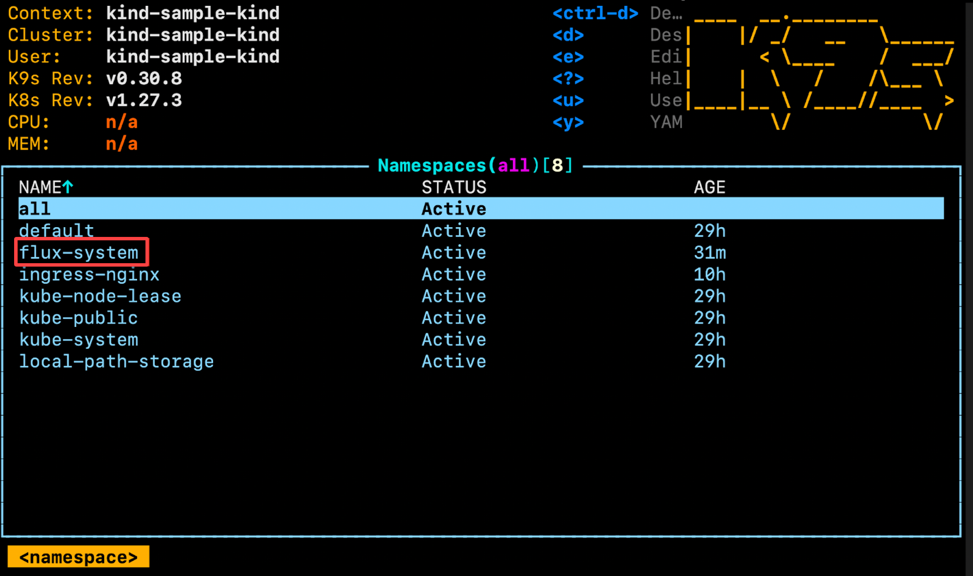 Viewing the list of namespaces installed in the Kubernetes cluster 