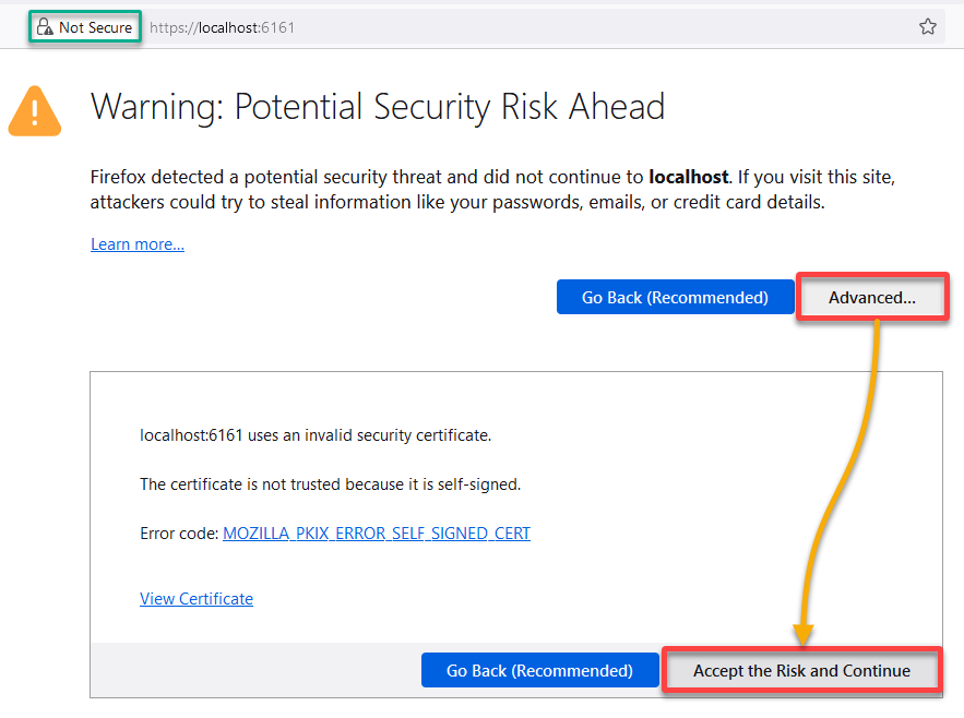 Accepting the potential security risk warning