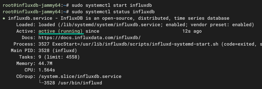 Starting and verifying the InfluxDB service