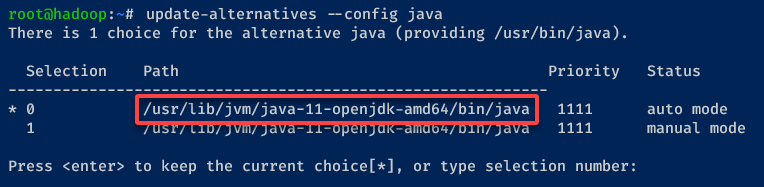 Checking the Java OpenJDK installation path