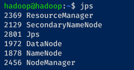 Checking Apache Hadoop processes