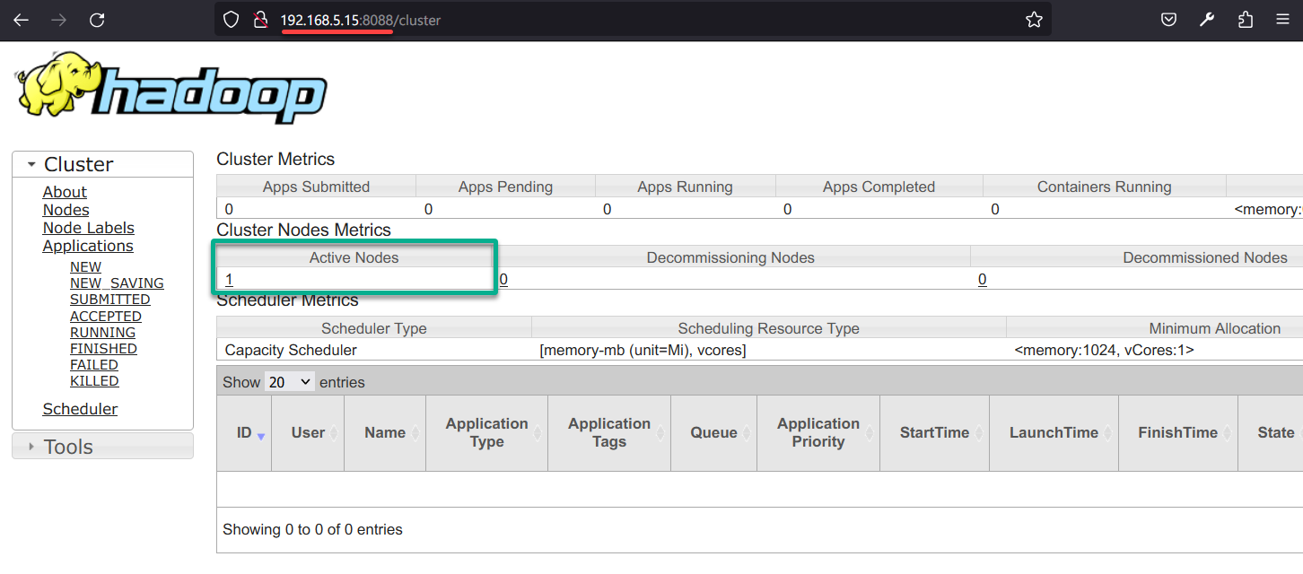 Checking the cluster via YARN ResourceManagers