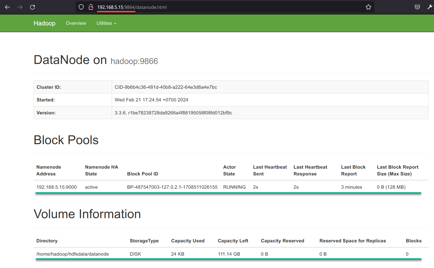 Checking the Hadoop DataNode via web UI