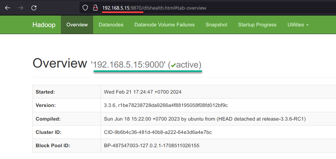 Checking Apache Hadoop via the NameNode web UI