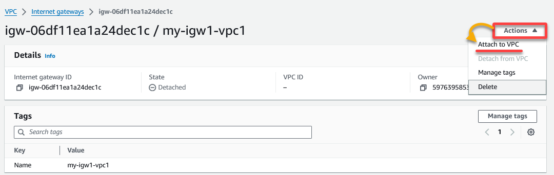 Accessing Attach an Internet Gateway to the VPC