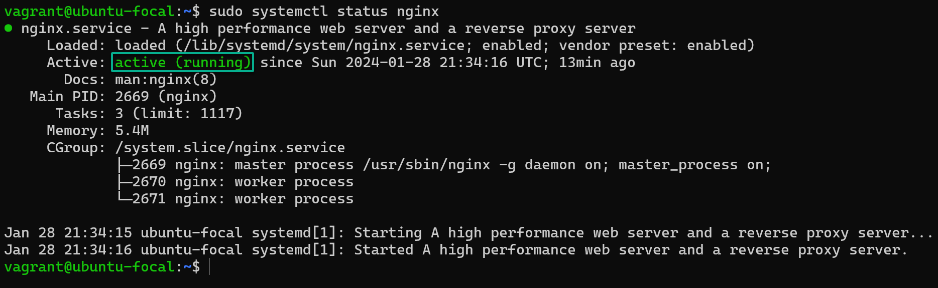 Verifying NGINX has been correctly installed