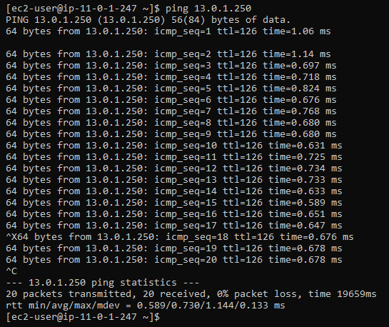 Performing the ping request to the third EC2 instance to confirm connectivity