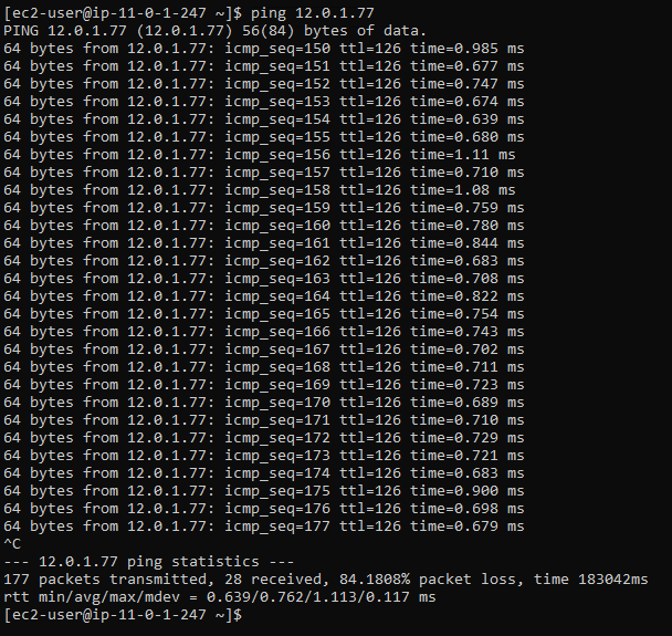 Performing ping test to the second EC2 private IPv4 address