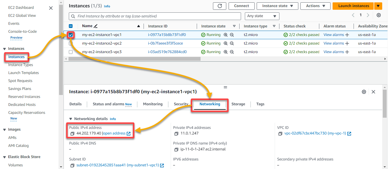 Accessing the public IP address of the EC2 instance