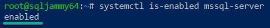 Verifying the MSSQL Server is enabled 