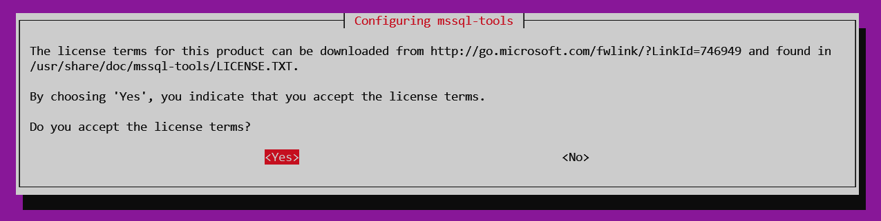 Accepting license terms for MSSQL Tools