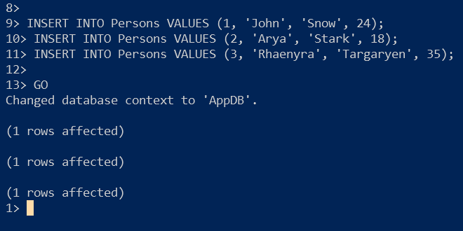 Inserting data to the Persons table within the AppDB database