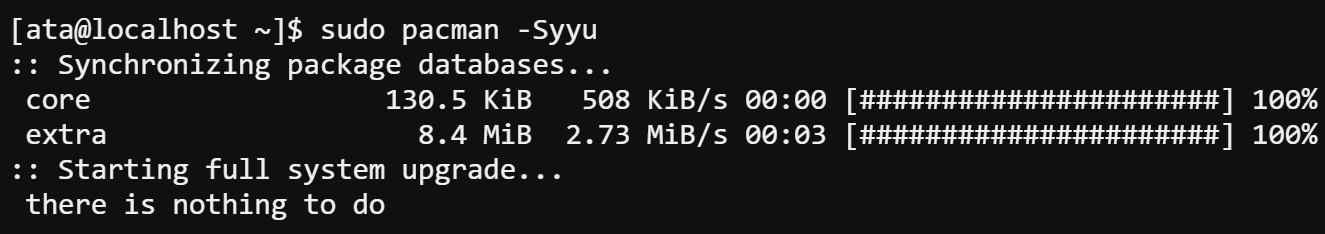 Updating the system package database and upgrading existing packages