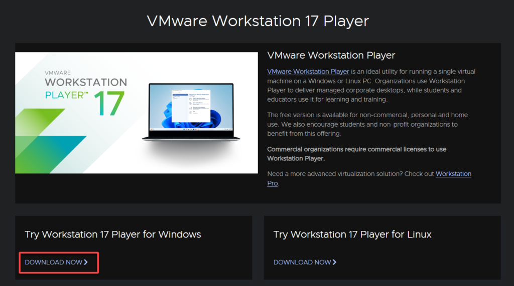 download and install vmware workstation player